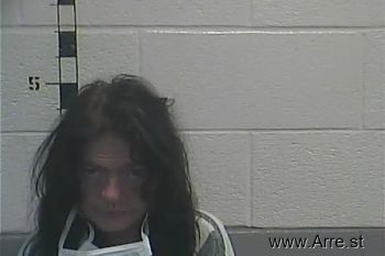 Sandra Gail Hawkins Mugshot