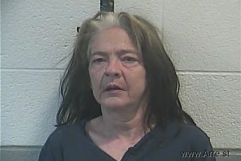 Sandra Gail Hawkins Mugshot