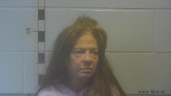 Sandra Gail Hawkins Mugshot