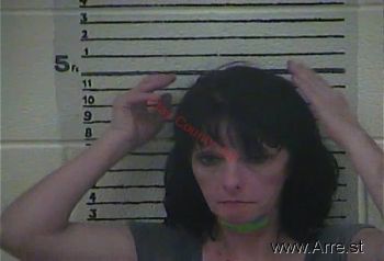 Sandra Sudie Henson Mugshot