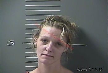 Sandra  Wells Mugshot