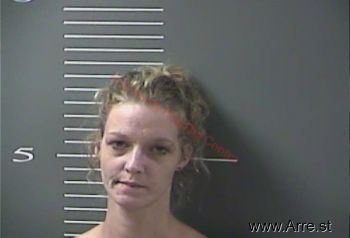 Sandra  Wells Mugshot