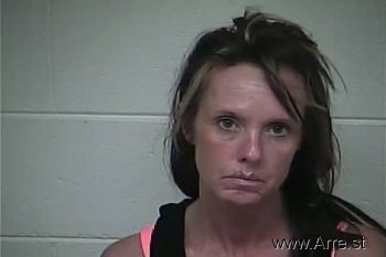 Sandra Lynn Wood Mugshot