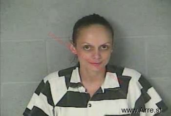 Sandy Ellen Jones Mugshot