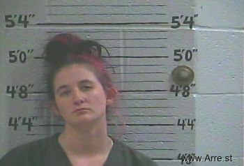 Sara E Nichols Mugshot