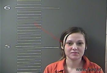 Sara  Nichols Mugshot