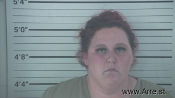 Sara Lynn Snyder Mugshot