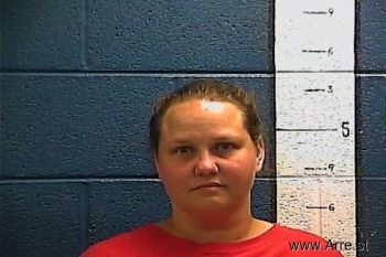 Sara Tansis Rosemarie Snyder Mugshot