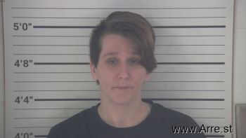 Sara Moon Vonwahlde Mugshot