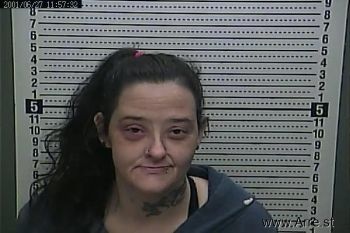 Sarah E Bray Mugshot