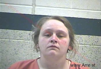 Sarah Nicole Bray Mugshot