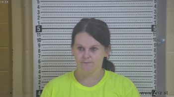 Sarah L Clark Mugshot