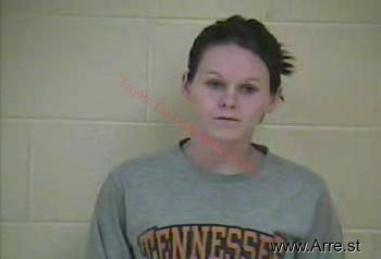 Sarah L Clark Mugshot