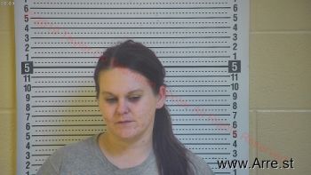 Sarah L Clark Mugshot