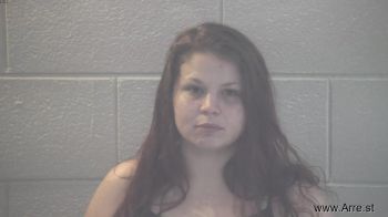 Sarah Michelle Hall Mugshot