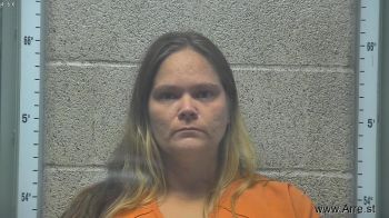 Sarah Elizabeth Hendricks Mugshot