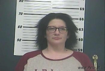 Sarah Nicole James Mugshot