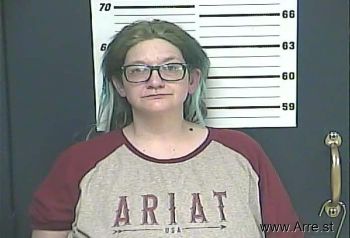 Sarah Nicole James Mugshot