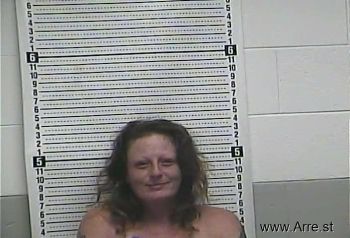 Sarah E Merideth Mugshot