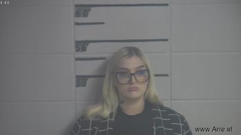 Sarah E Patton Mugshot