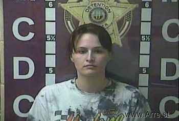 Sarah Ellen Perkins Mugshot