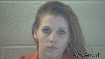 Sarah Ann Price Mugshot