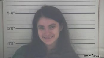 Sarah Ann Ruiz-rezentes Mugshot