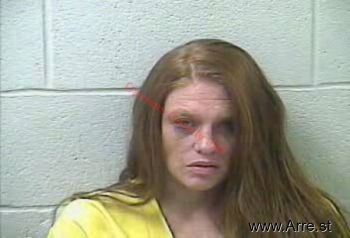 Sarah Elizabeth Williams Mugshot