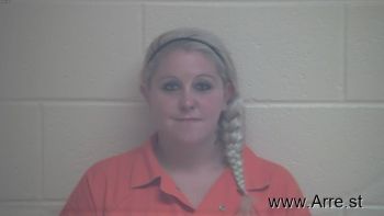 Sarah Nicole Williams Mugshot