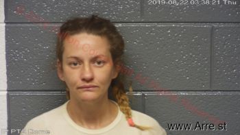 Sarah Ann Williams Mugshot