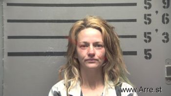 Sarah Ann Williams Mugshot