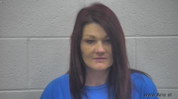 Sarah Nicole Young Mugshot