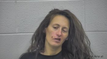 Shannon Marie Barrett Mugshot