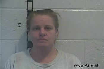 Shannon Renee Broyles Mugshot