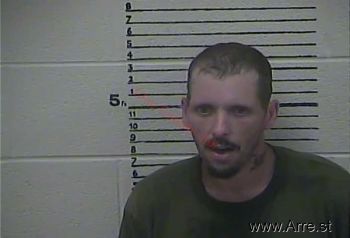 Shannon  Davidson Mugshot