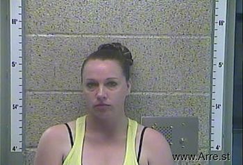 Shannon M Palmer Mugshot