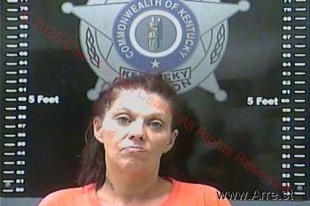 Shannon Renee Ward Mugshot