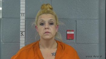 Shara N Hostetler Mugshot