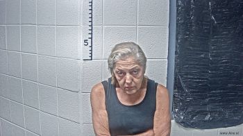 Sharon K Niece Mugshot