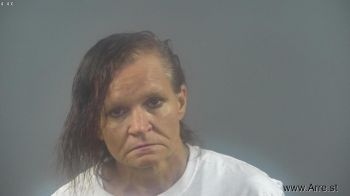 Sharon Lynn Stone Mugshot