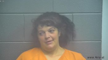 Shawna Renee Johnson Mugshot