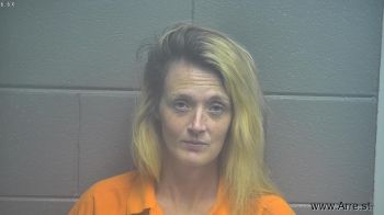 Shawnda Marie Lee Mugshot