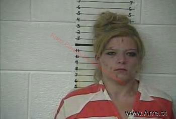 Sheila K Hensley Mugshot