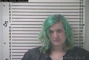 Shelby Nicole Johnson Mugshot