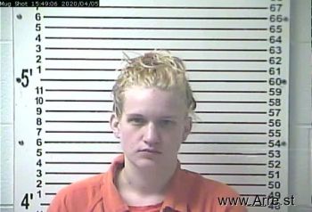 Shelby Nicole Johnson Mugshot