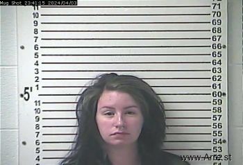 Shelia Annette Drake Mugshot