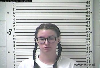 Shelia Annette Drake Mugshot