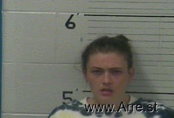 Shelli Lynn Davis Mugshot