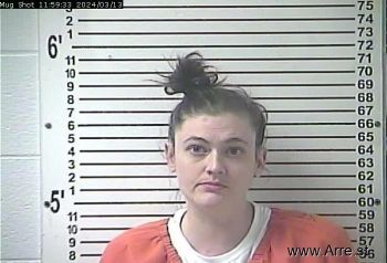 Shelli Lynn Davis Mugshot