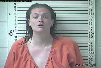 Shelli Lynn Davis Mugshot